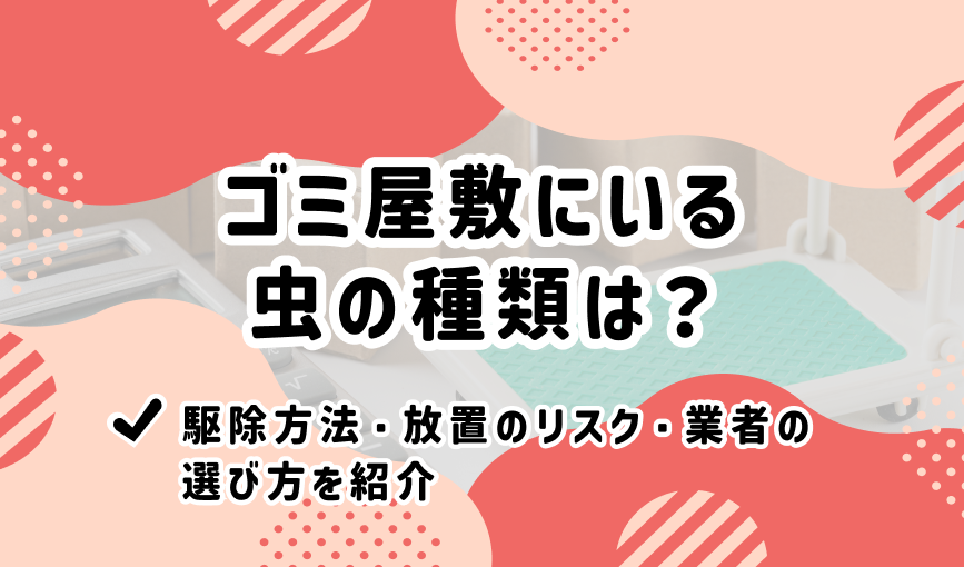 ゴミ屋敷にいる虫の種類は？【駆除方法・放置のリスク・業者の選び方を紹介】