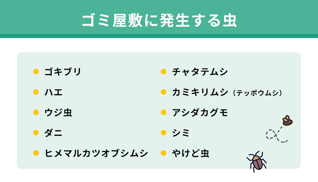 ゴミ屋敷に発生する虫