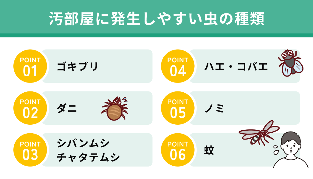 汚部屋に発生しやすい虫の種類