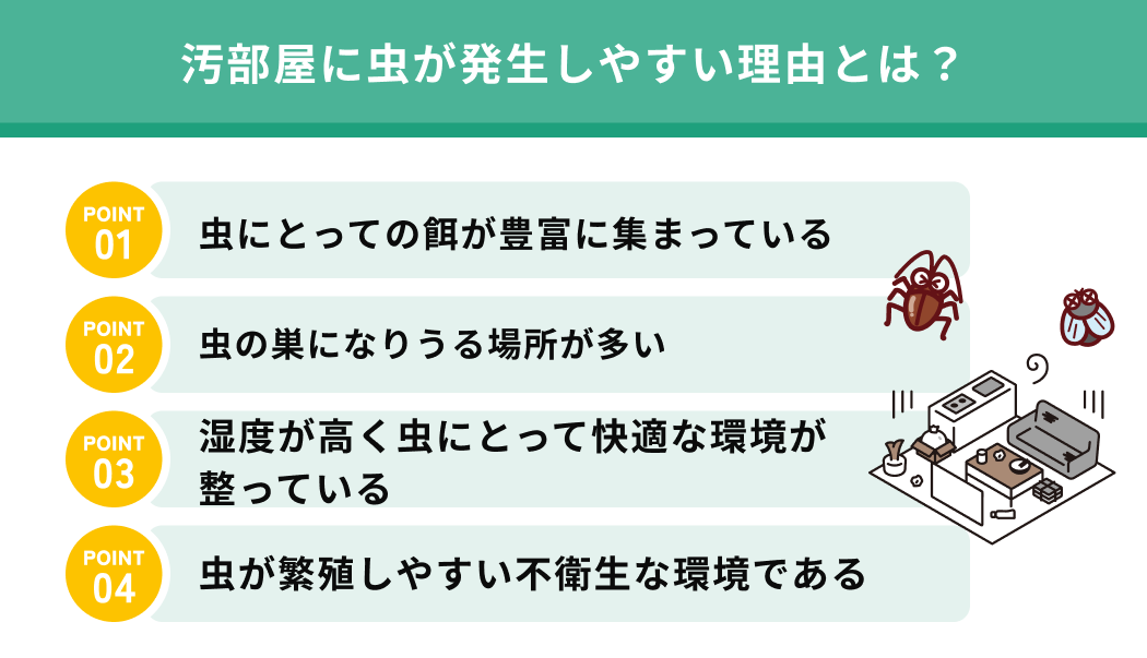 汚部屋に虫が発生しやすい理由とは？