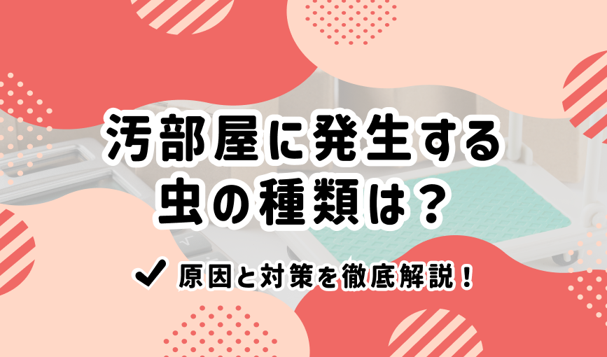 汚部屋に発生する虫の種類は？原因と対策を徹底解説！