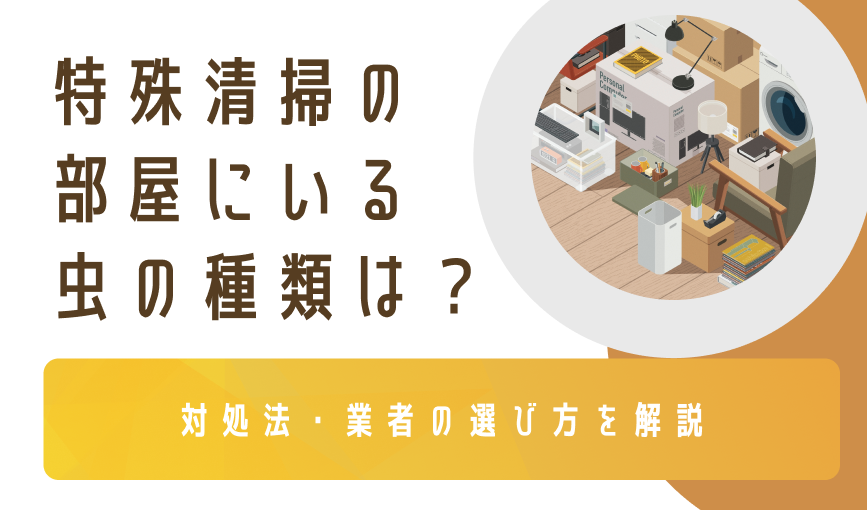 特殊清掃の部屋にいる虫の種類は？【対処法・業者の選び方を解説】