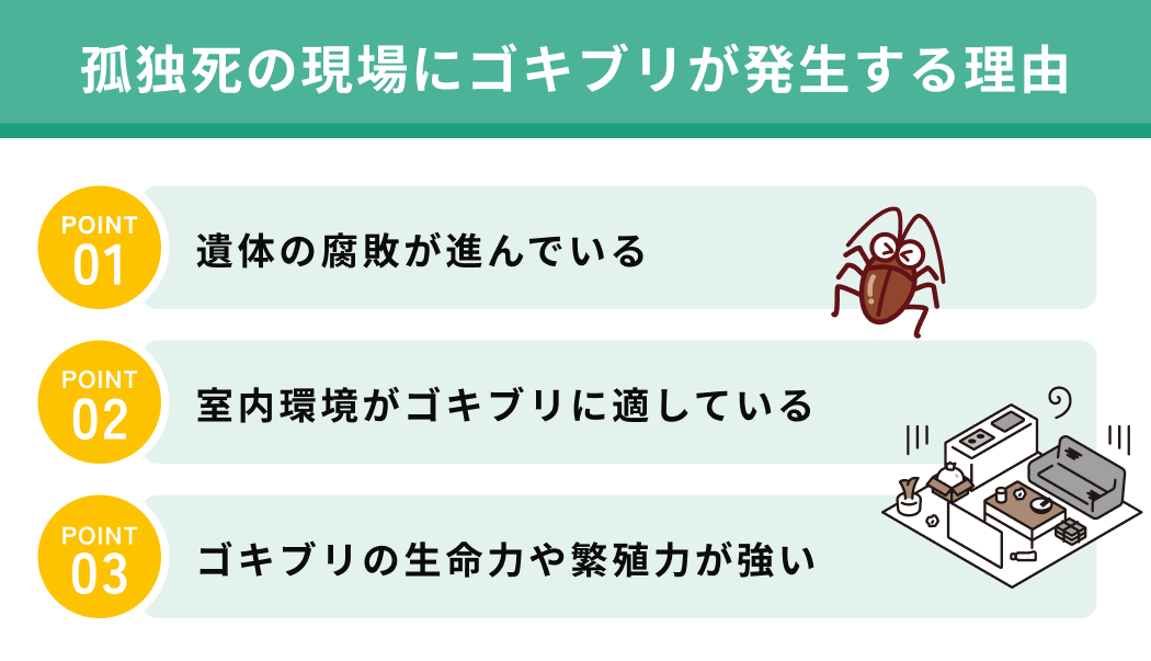 孤独死の現場にゴキブリが発生する理由