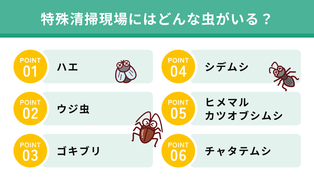 特殊清掃現場にはどんな虫がいる？