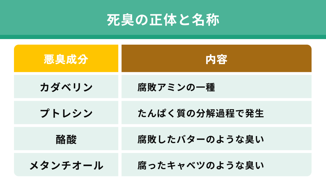 死臭の正体と名称