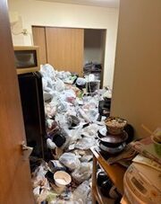 Beforeの画像