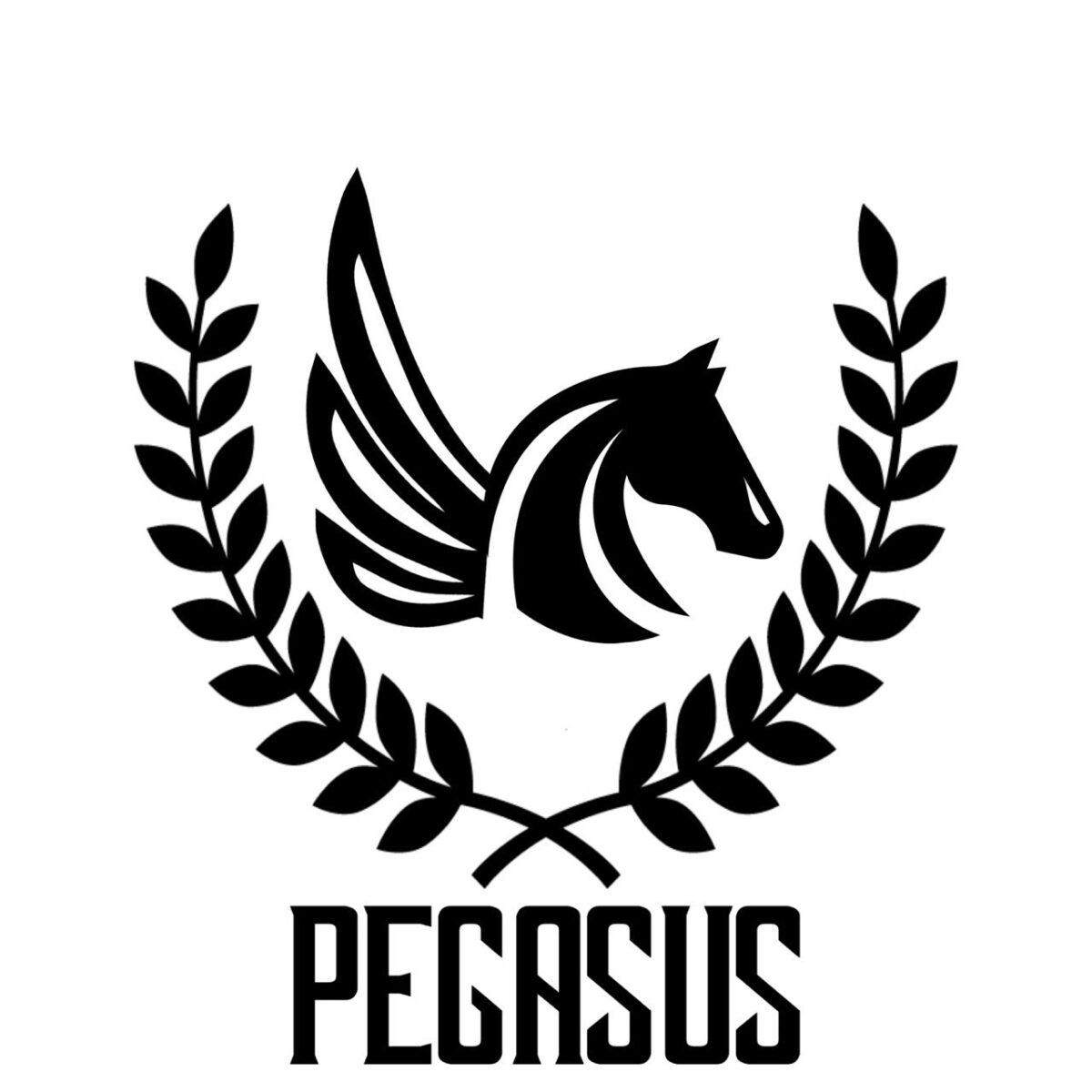 ペガサス
