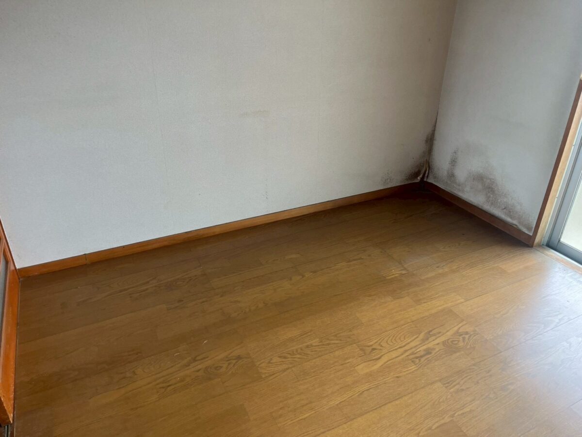 Afterの画像